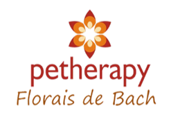 Petherapy