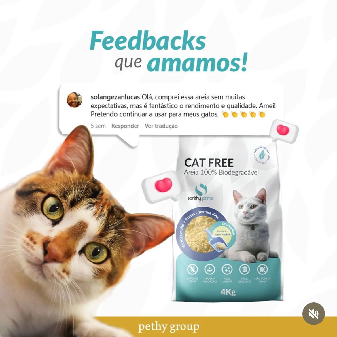 Cão e gato